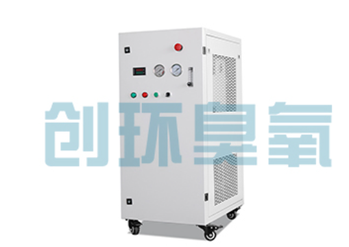 康保石斑鱼养殖水质调控完整指南:臭氧发生器配置与操作步骤