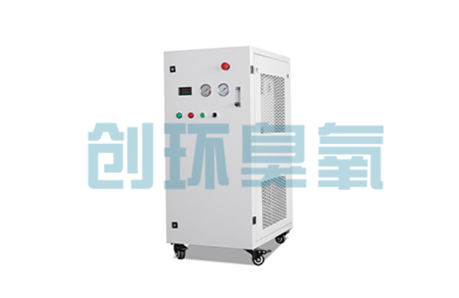 康保比传统换水更高效?臭氧发生器在石斑鱼养殖中的水质净化原理解析